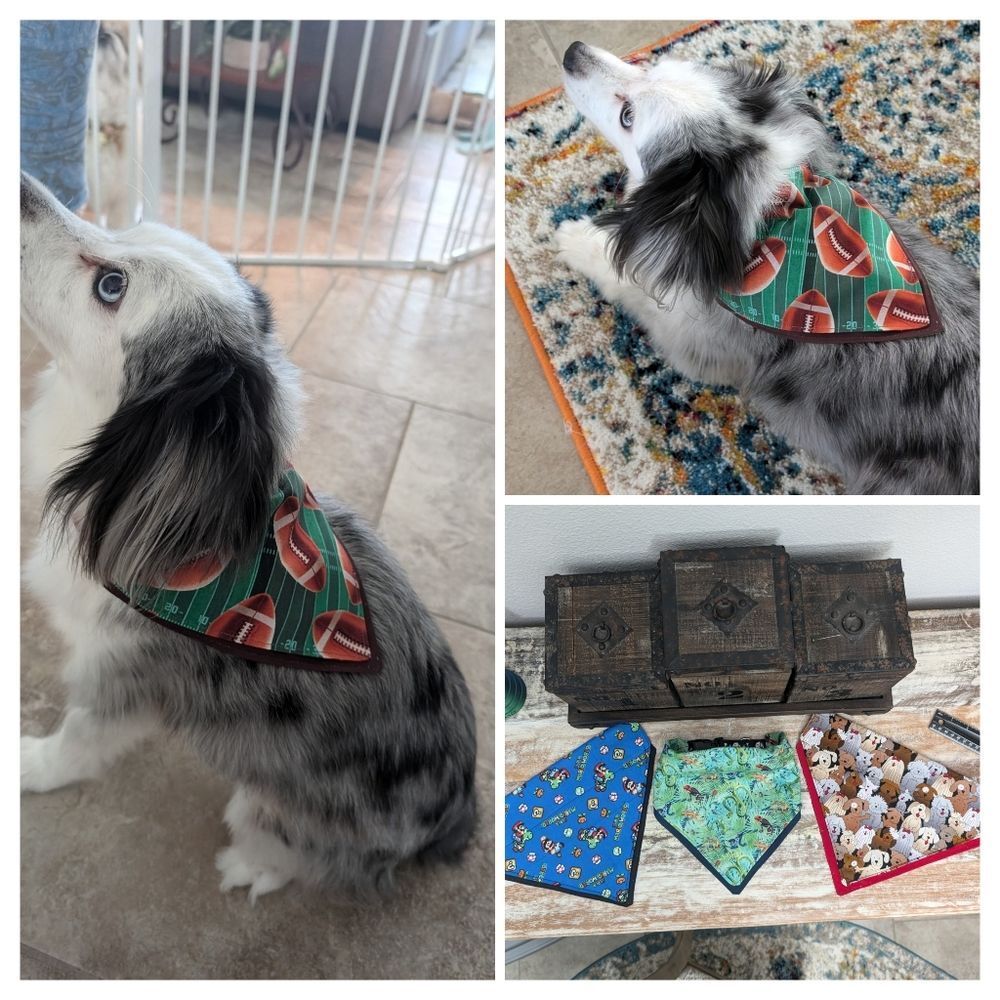 Hand Crafted Over The Collar Pet/Dog Bandanas Set of 3, Size Large